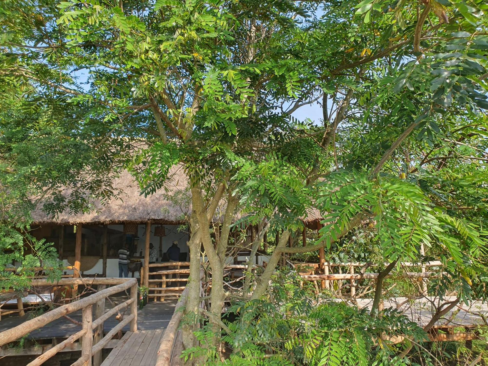 Topi Lodge Katunguru Ngoại thất bức ảnh