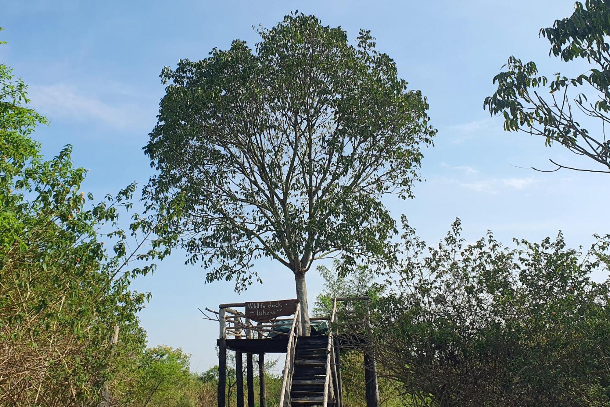 Topi Lodge Katunguru Ngoại thất bức ảnh